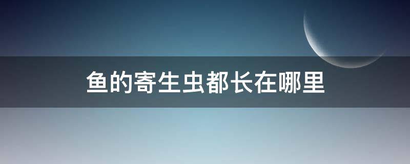 鱼的寄生虫都长在哪里 长鱼有寄生虫吗的寄生虫都长在哪里