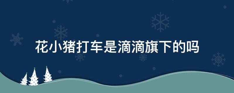 花小猪打车是滴滴旗下的吗 花小猪打车平台是滴滴旗下的吗