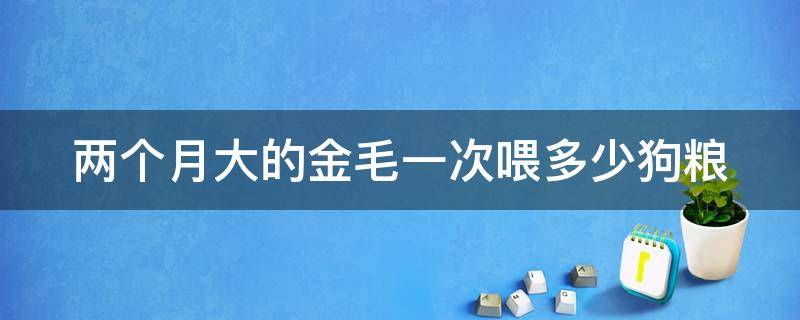 两个月大的金毛一次喂多少狗粮 两个月大的金毛一次喂多少狗粮啊