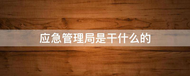 应急管理局是干什么的 安全应急管理局是干什么的