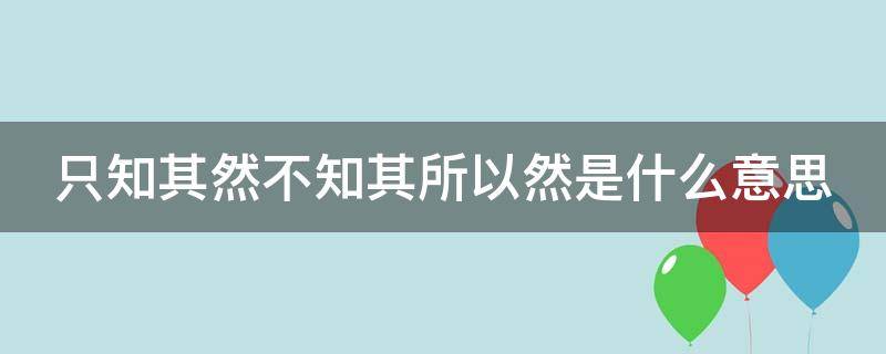 只知其然不知其所以然是什么意思（只知其所以然不知其所以然）