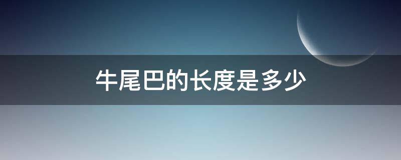 牛尾巴的长度是多少 牛尾巴有多少长