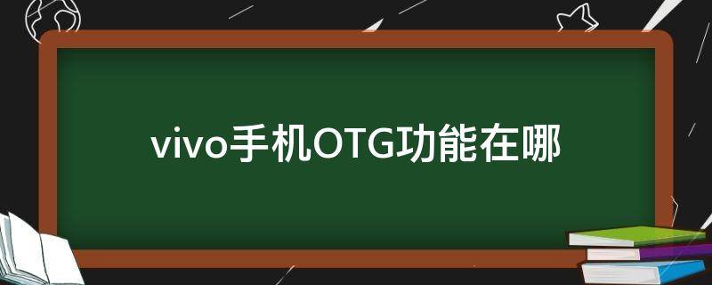 vivo手机OTG功能在哪 vivo手机哪里打开OTG功能