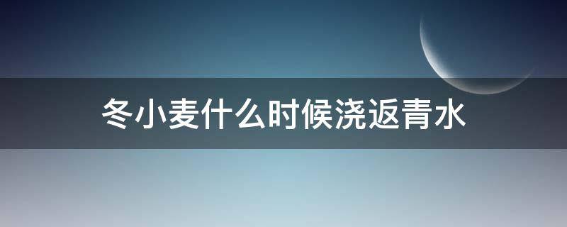 冬小麦什么时候浇返青水（冬小麦啥时候浇返青水）