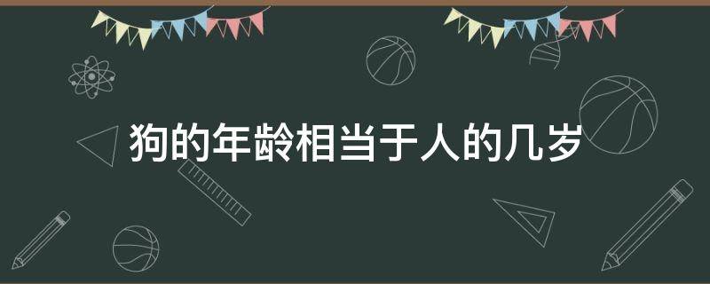 狗的年龄相当于人的几岁 狗的几岁相当于人的几岁