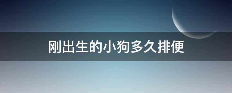 刚出生的小狗多久排便 刚出生的小狗多久排便一次