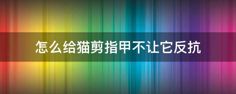 怎么给猫剪指甲不让它反抗 怎么给猫剪指甲不让他反抗