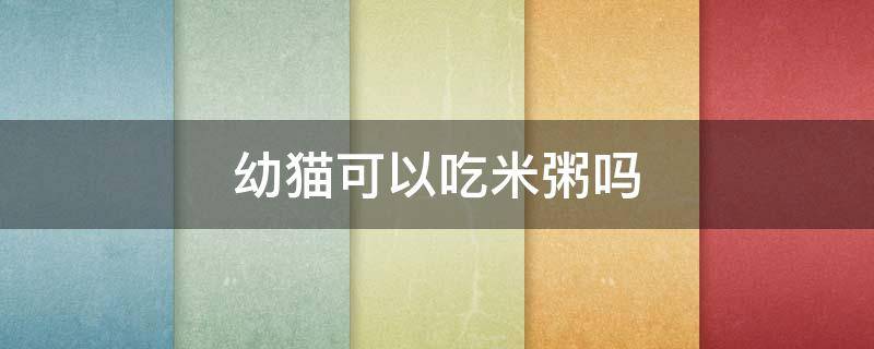 幼猫可以吃米粥吗 幼猫可以吃粥吗?