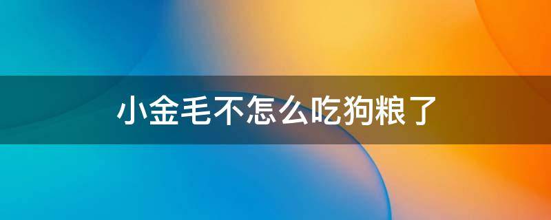 小金毛不怎么吃狗粮了 小金毛不好好吃狗粮怎么办