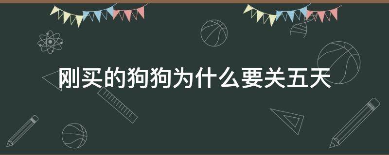 刚买的狗狗为什么要关五天 狗狗到新家为什么要关5天