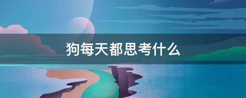 狗每天都思考什么 狗每天都在想什么