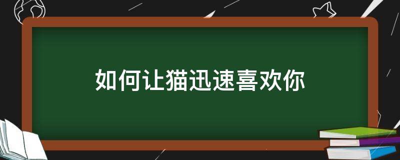 如何让猫迅速喜欢你 怎样才能让猫快速喜欢你?