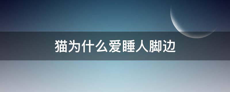 猫为什么爱睡人脚边 为什么猫爱在人脚边睡觉