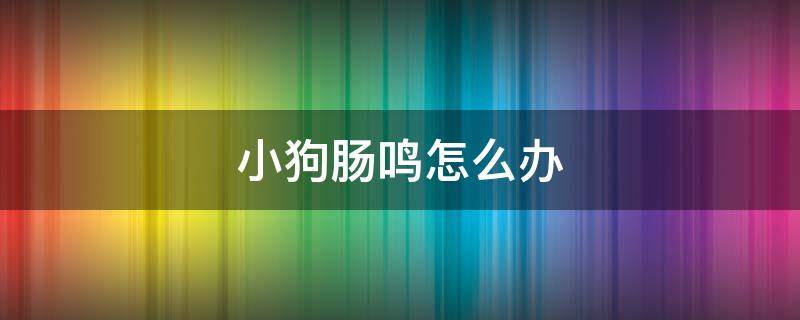 小狗肠鸣怎么办 狗狗肠鸣怎么办