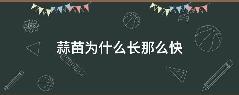 蒜苗为什么长那么快 为什么蒜苗长得很细