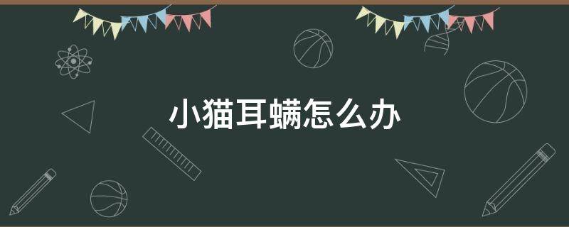 小猫耳螨怎么办 小猫得耳螨怎么办