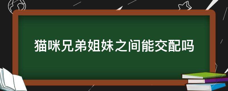 猫咪兄弟姐妹之间能交配吗（猫咪兄妹之间可以配吗）