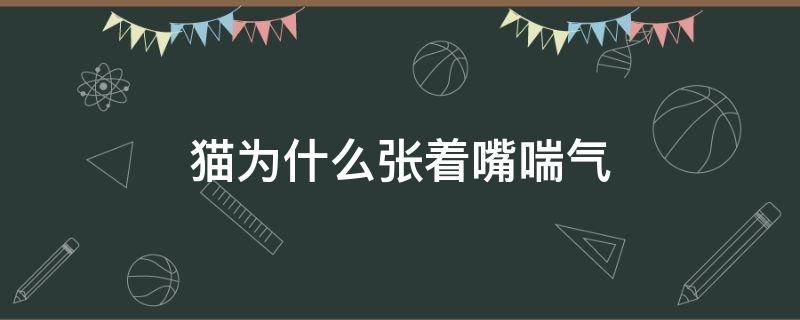 猫为什么张着嘴喘气 猫为什么张着嘴巴喘气