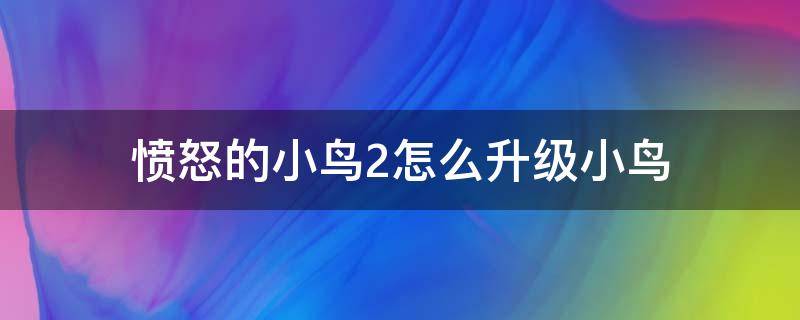 愤怒的小鸟2怎么升级小鸟（愤怒的小鸟2怎么升级小鸟力量）