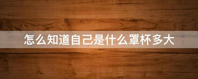 怎么知道自己是什么罩杯多大 怎么知道自己是多少罩杯的