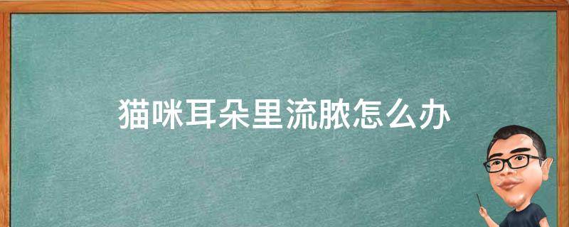 猫咪耳朵里流脓怎么办 在家猫耳朵里面流脓怎么办