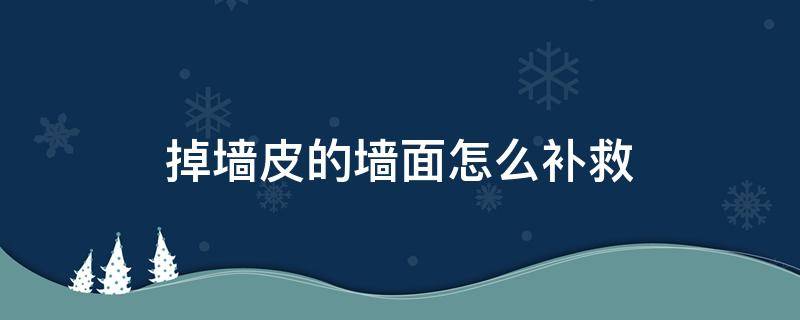 掉墙皮的墙面怎么补救 墙皮掉了咋办