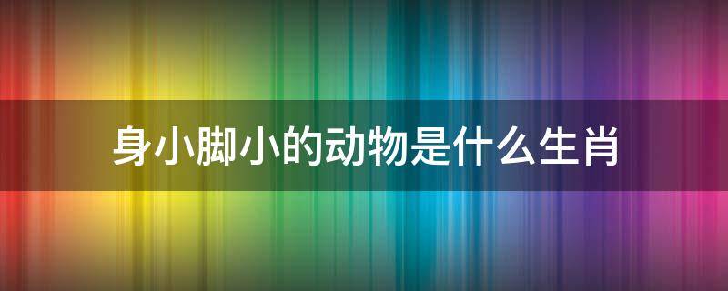 身小脚小的动物是什么生肖（欲钱买身小脚小的动物是什么生肖）