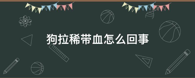 狗拉稀带血怎么回事 狗拉稀带血怎么回事精神很好