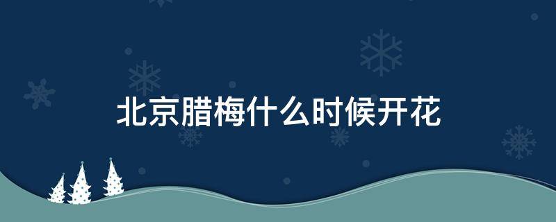 北京腊梅什么时候开花（北京腊梅的花期）