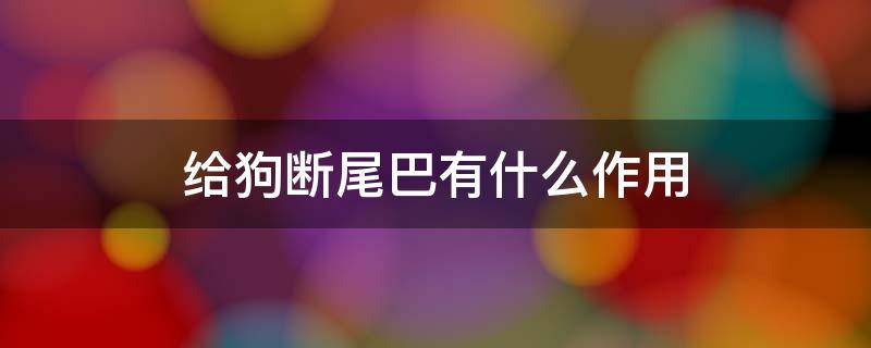 给狗断尾巴有什么作用 自己给狗狗断尾巴最坏情况是什么