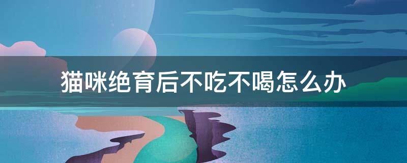 猫咪绝育后不吃不喝怎么办 猫咪绝育后不吃不喝 猫咪不进食怎么办