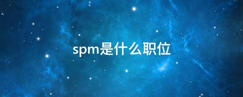 spm是什么职位（公司里的spm是什么职位）