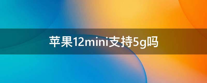 苹果12mini支持5g吗（苹果12mini支持5G吗）