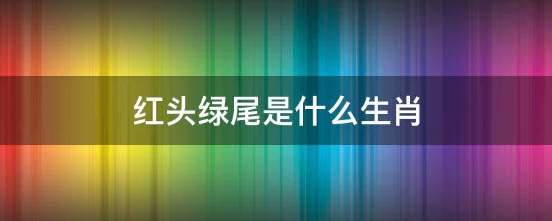 红头绿尾是什么生肖 头绿尾绿是什么生肖