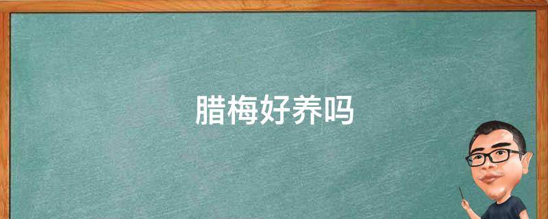 腊梅好养吗 腊梅好养吗?海棠花的养殖方法和注意事项 盆栽