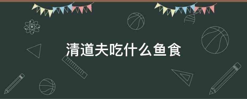 清道夫吃什么鱼食（清道夫鱼吃什么食物有哪些）