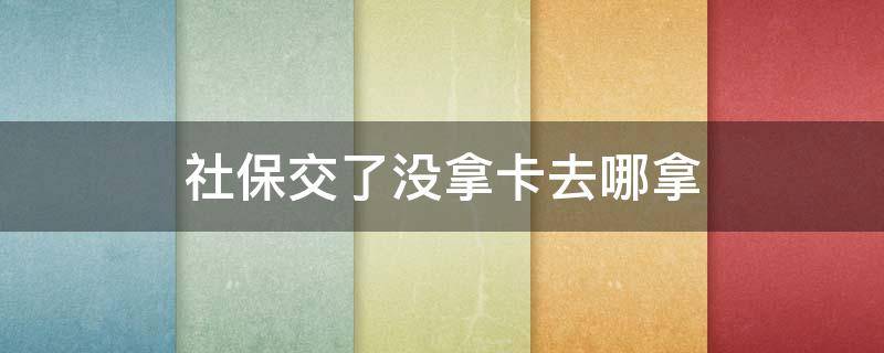 社保交了没拿卡去哪拿 交了社保卡去哪里拿卡