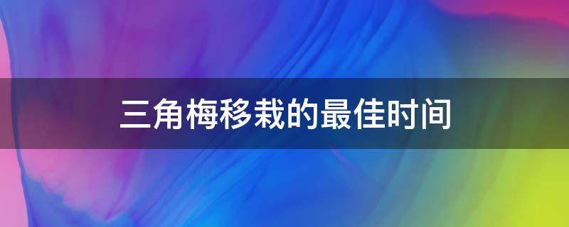 三角梅移栽的最佳时间（三角梅几月份移栽成活率高）