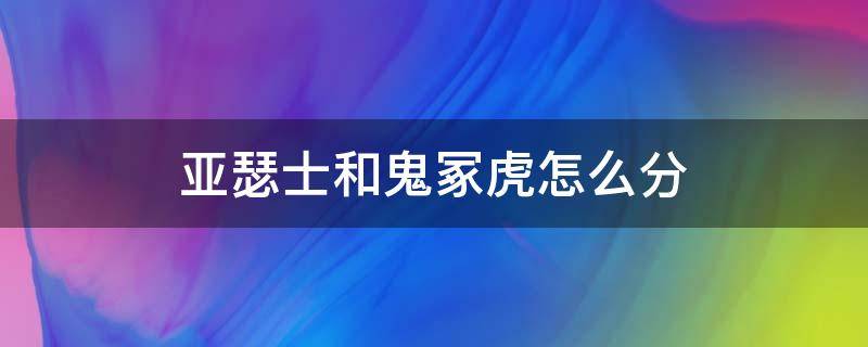 亚瑟士和鬼冢虎怎么分（亚瑟士和鬼冢虎怎么分验真假）