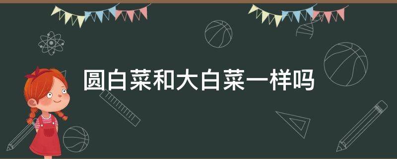 圆白菜和大白菜一样吗（圆白菜跟白菜一样吗）