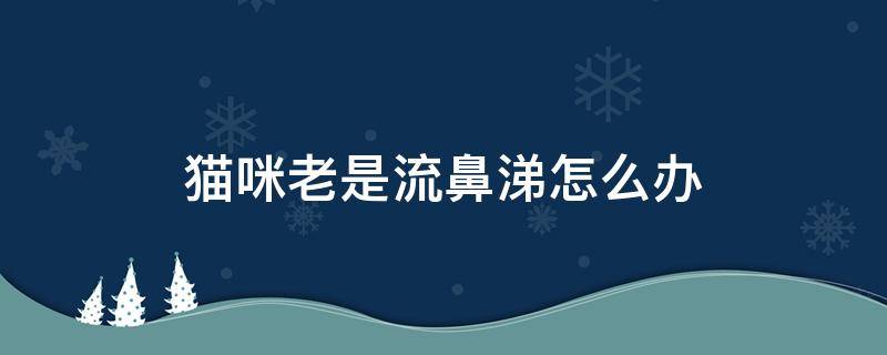 猫咪老是流鼻涕怎么办（猫咪长期流鼻涕怎么办）