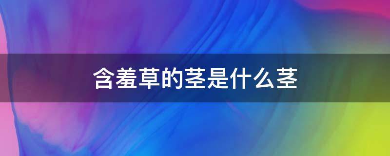 含羞草的茎是什么茎（含羞草的茎是什么茎桂花树是什么植物含羞草是什么植物）