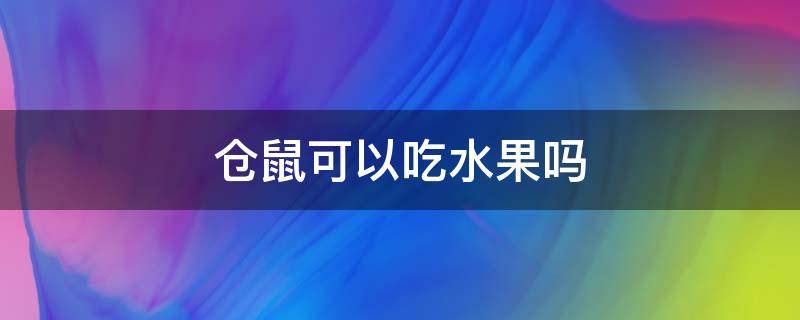 仓鼠可以吃水果吗 仓鼠可以吃梨吗