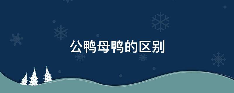 公鸭母鸭的区别 公鸭母鸭的区别是什么