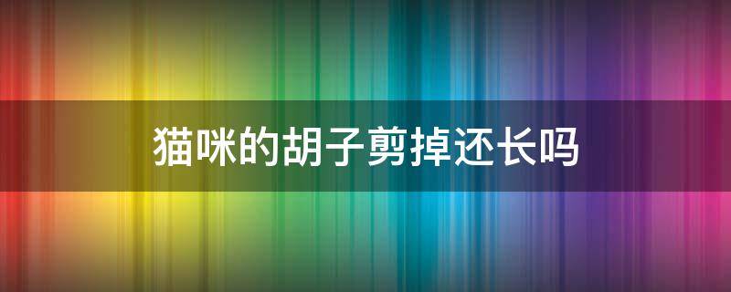 猫咪的胡子剪掉还长吗（猫的胡子剪掉了会长吗）