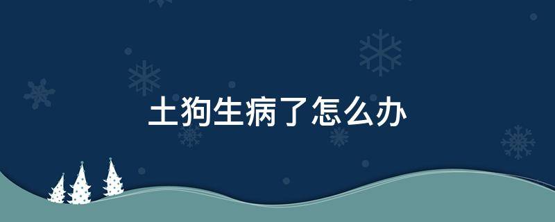 土狗生病了怎么办 怎样预防土狗生病