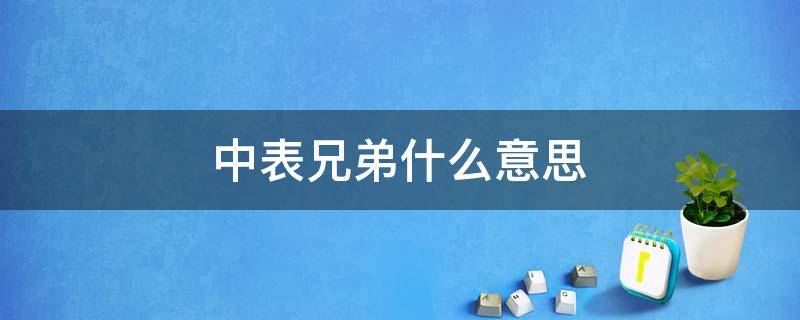 中表兄弟什么意思 什么是中表兄弟