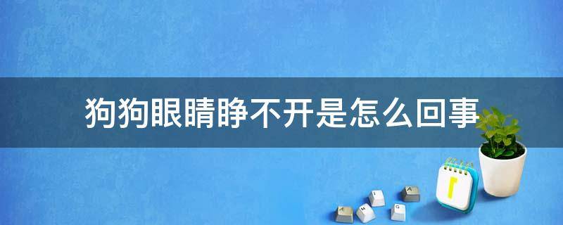 狗狗眼睛睁不开是怎么回事（狗狗眼睛睁不开是怎么回事眼睑白色）