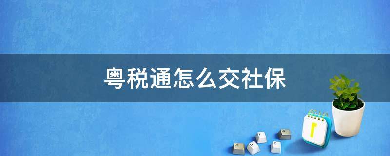 粤税通怎么交社保（粤税通怎么交社保显示缴纳基数填多少）