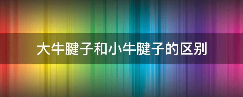 大牛腱子和小牛腱子的区别 大牛腱和小牛腱肉有什么区别